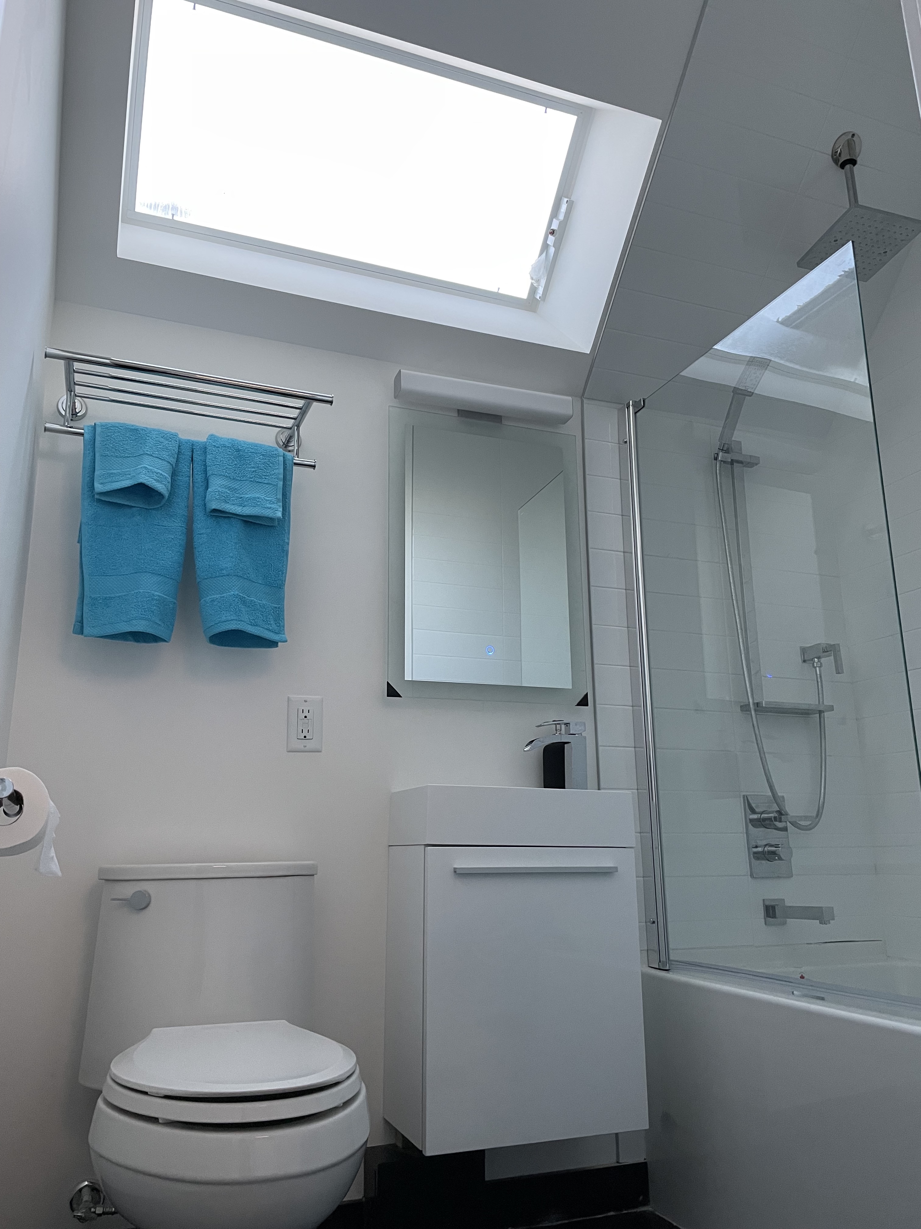 Bathroom with skylight and tub